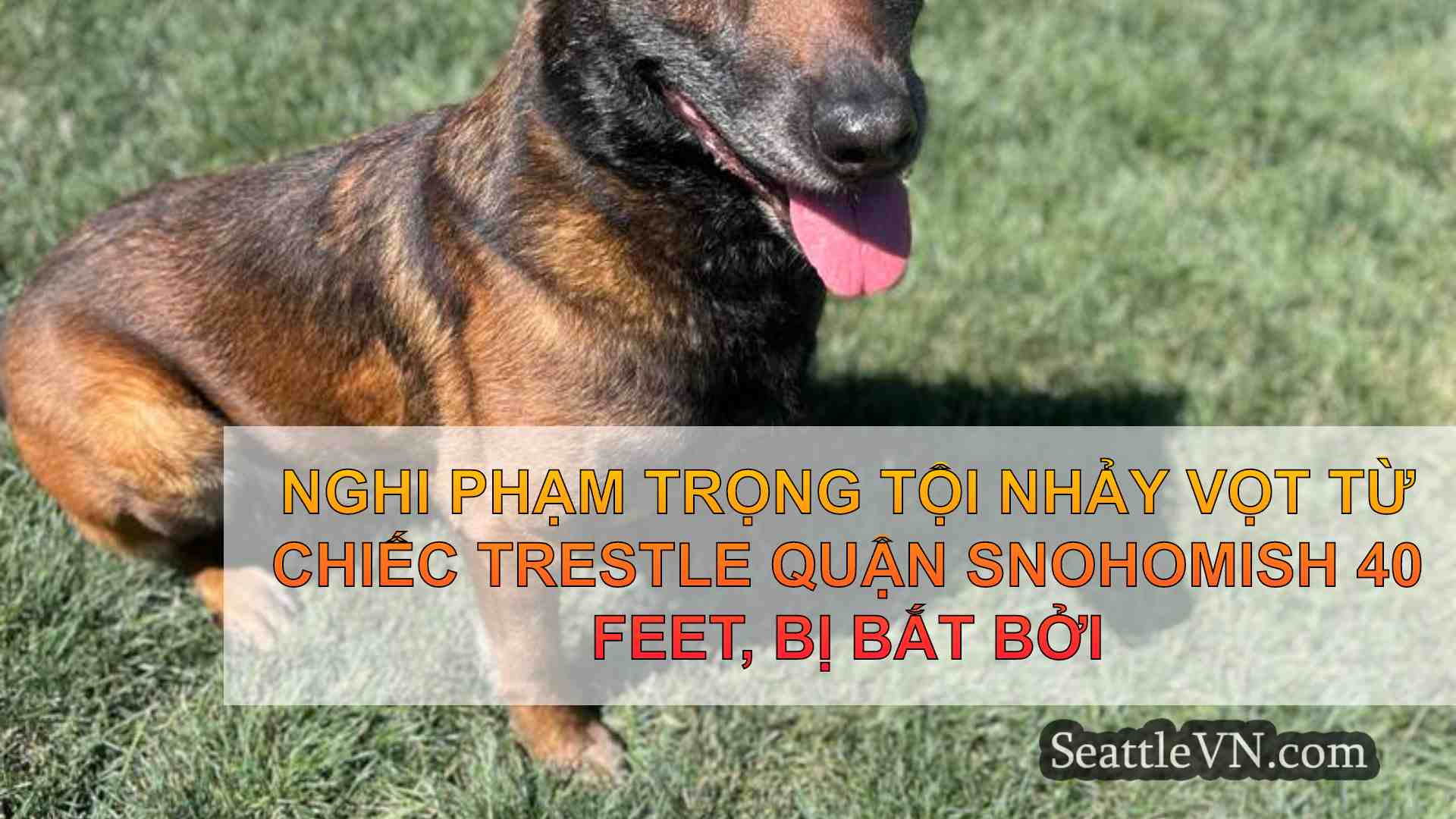 Nghi phạm trọng tội nhảy vọt từ chiếc