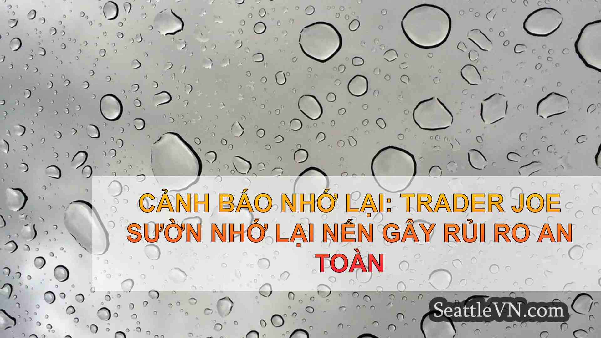 tin tức seattle SeattleVN