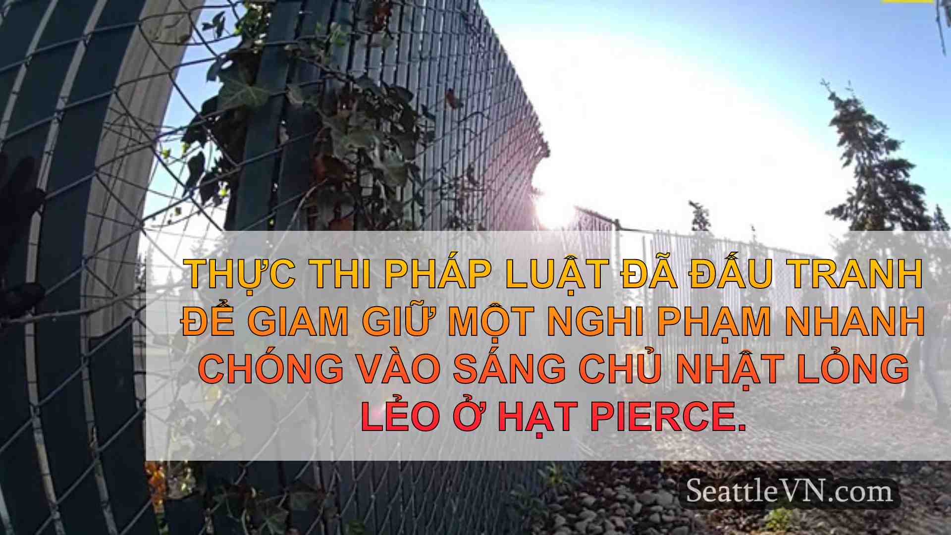 tin tức seattle SeattleVN