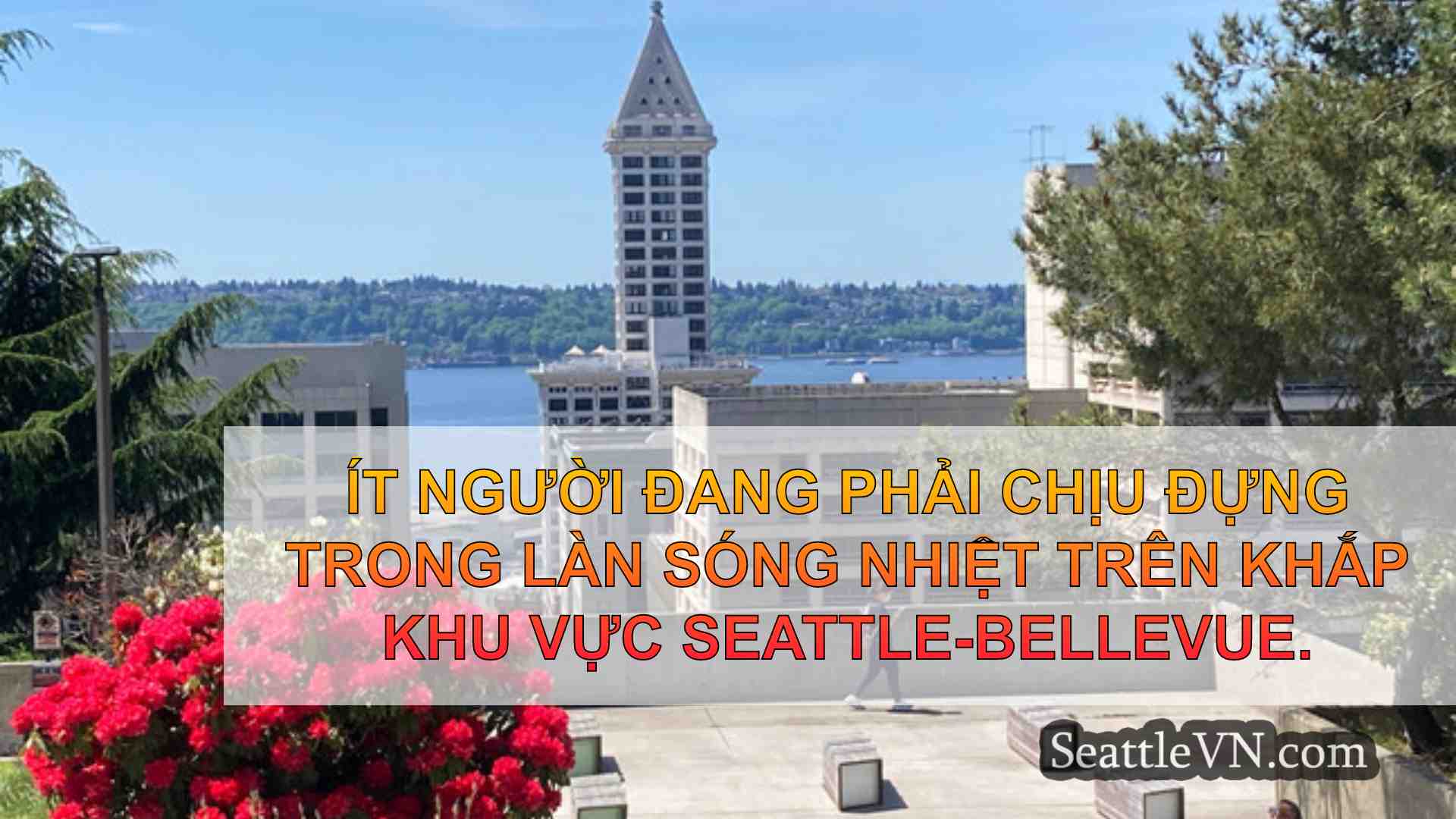 tin tức seattle SeattleVN