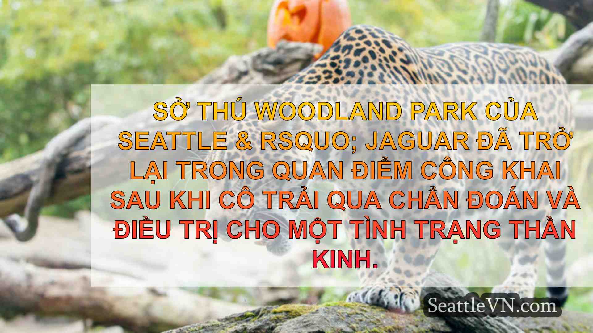 tin tức seattle SeattleVN