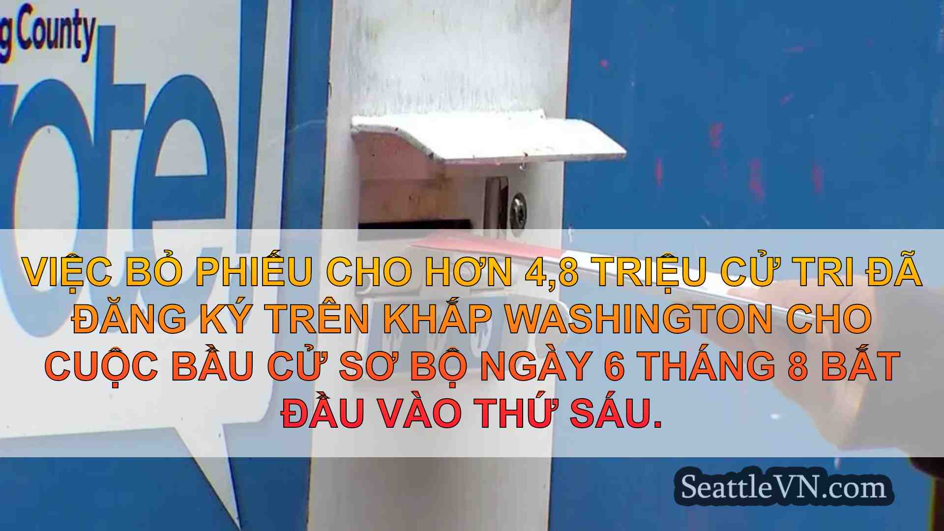 Bỏ phiếu cho cuộc bầu cử sơ bộ vào ngày