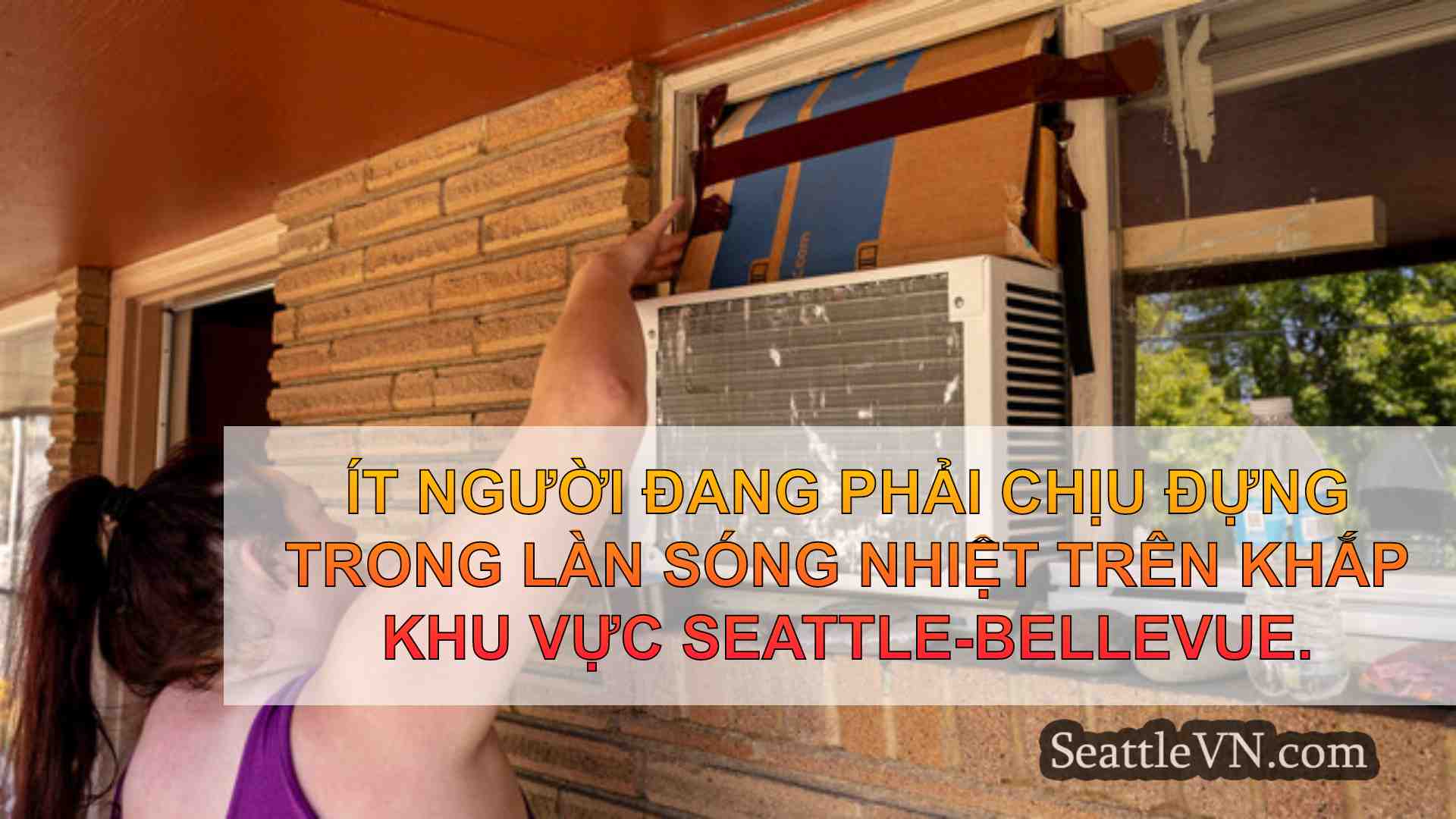 tin tức seattle SeattleVN