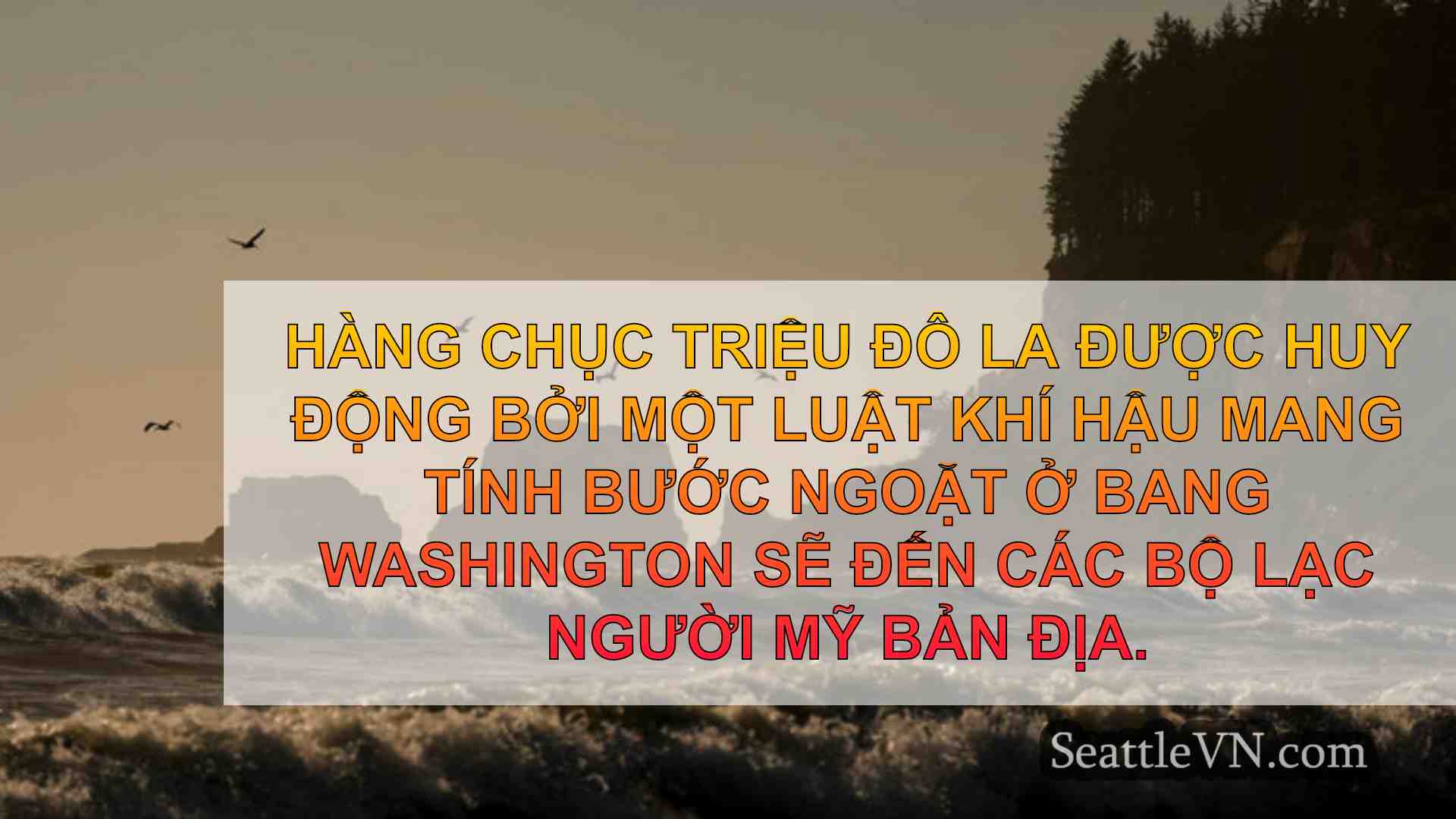 tin tức seattle SeattleVN