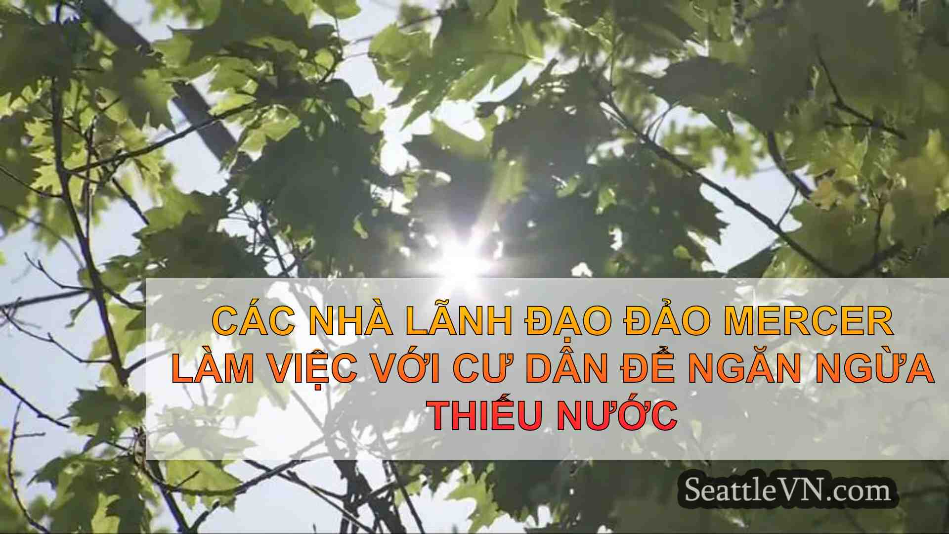 Các nhà lãnh đạo Đảo Mercer làm việc