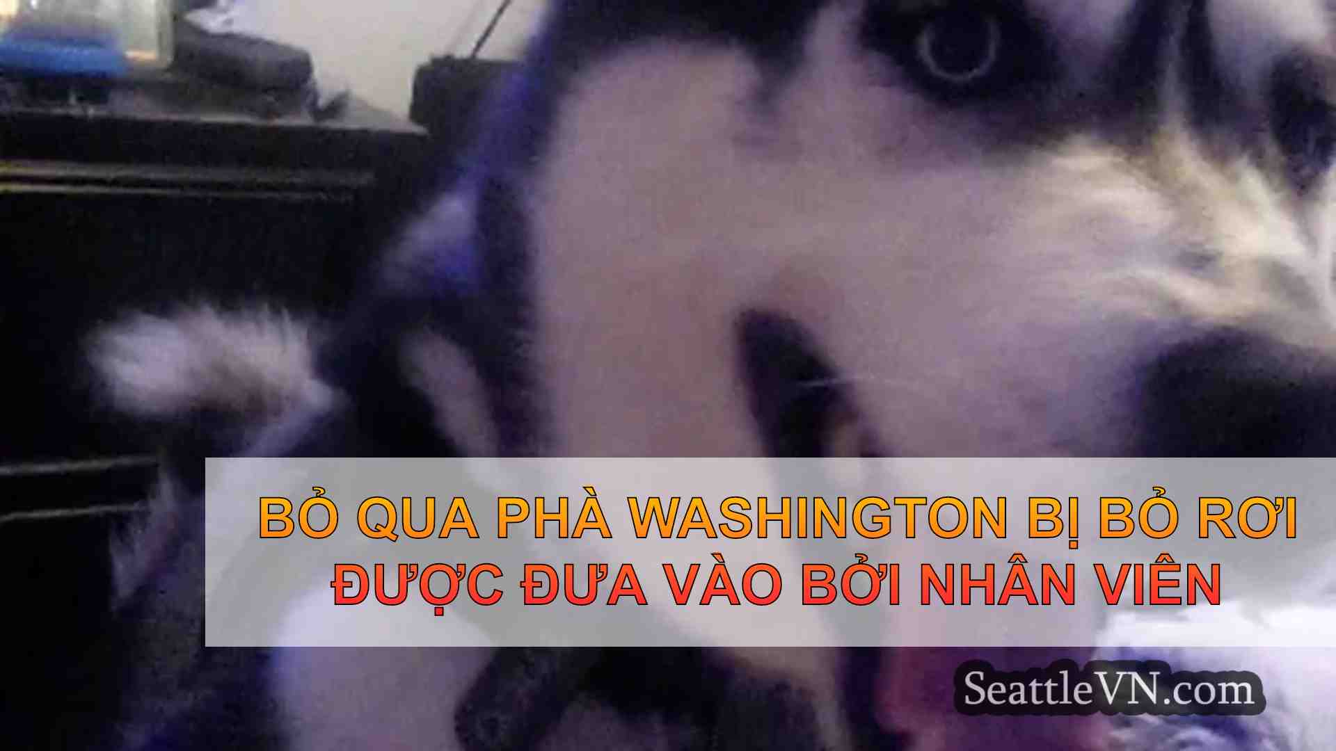 Bỏ qua phà Washington bị bỏ rơi được