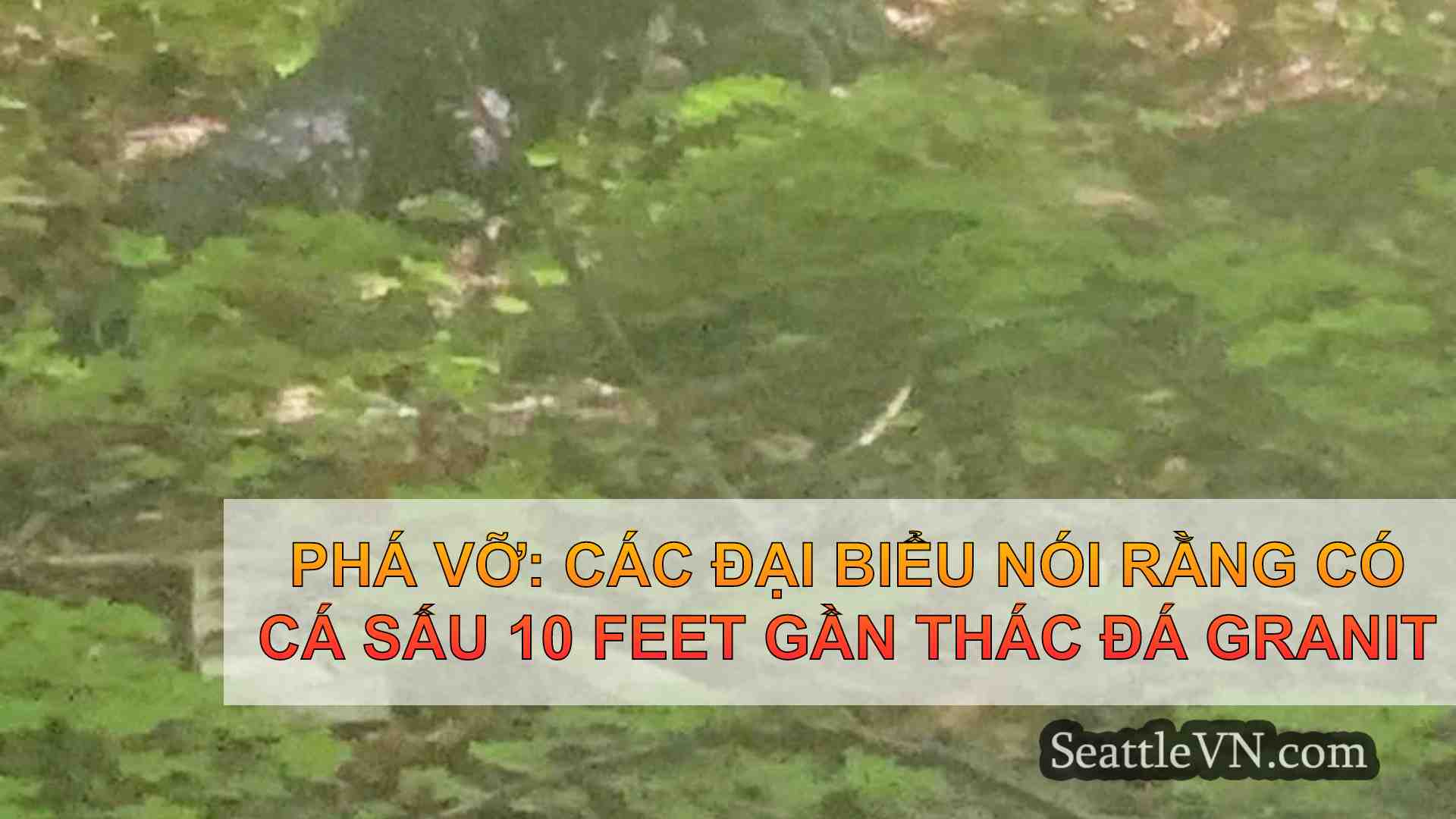 Phá vỡ: Các đại biểu nói rằng có cá sấu