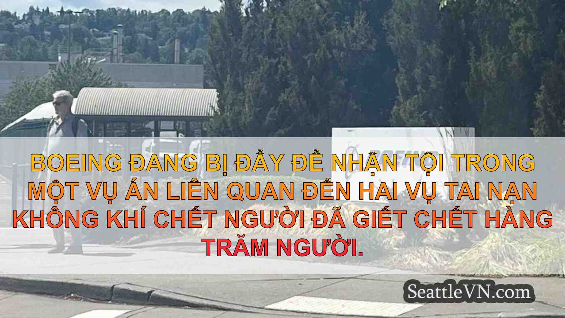 Boeing kêu gọi nhận tội trong trường