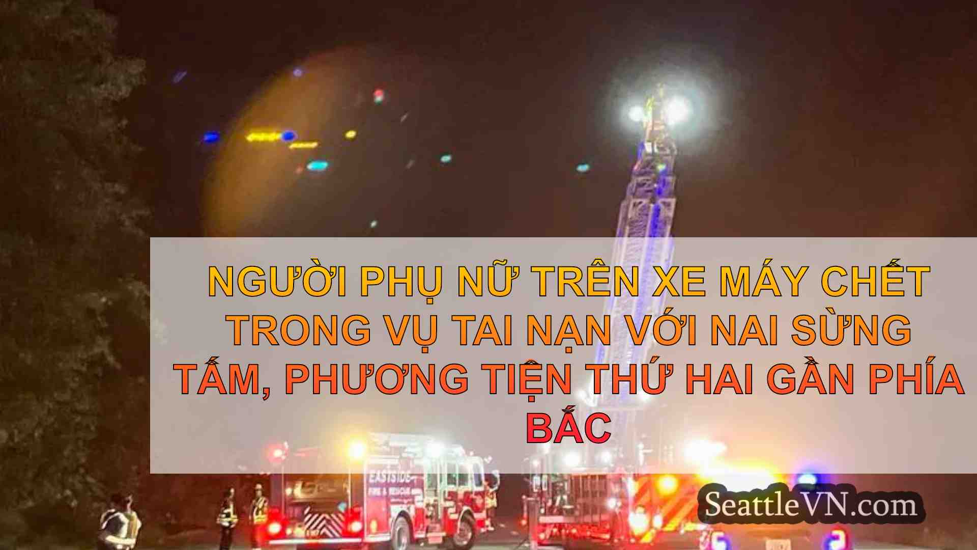 Người phụ nữ trên xe máy chết trong vụ