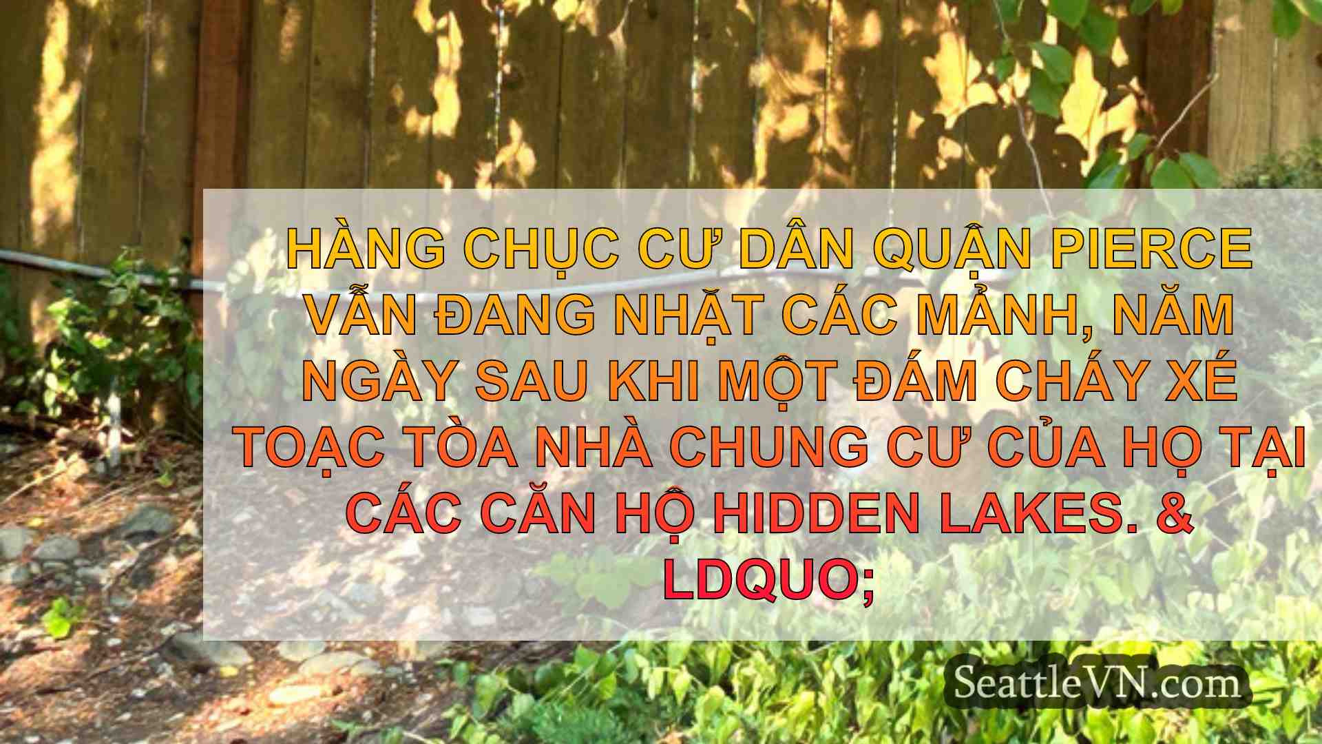 tin tức seattle SeattleVN