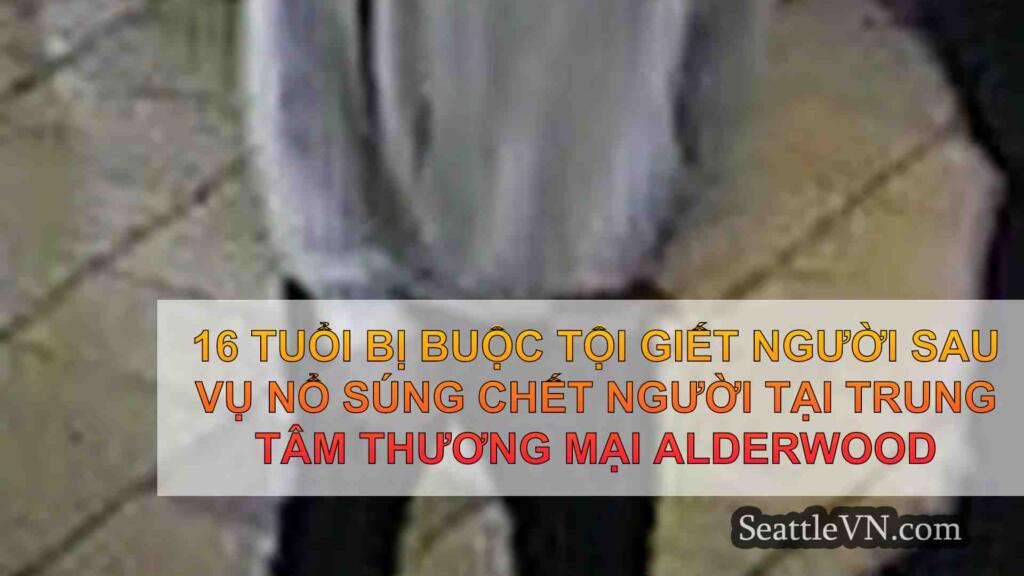 16 tuổi bị buộc tội giết người sau vụ
