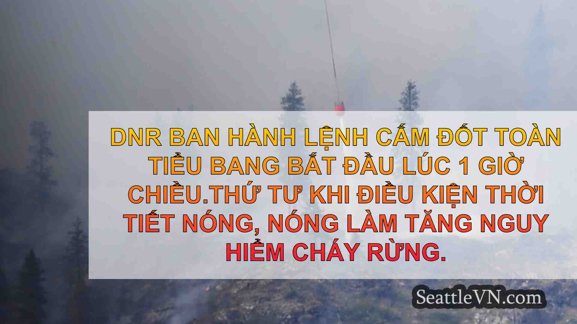 tin tức seattle SeattleVN