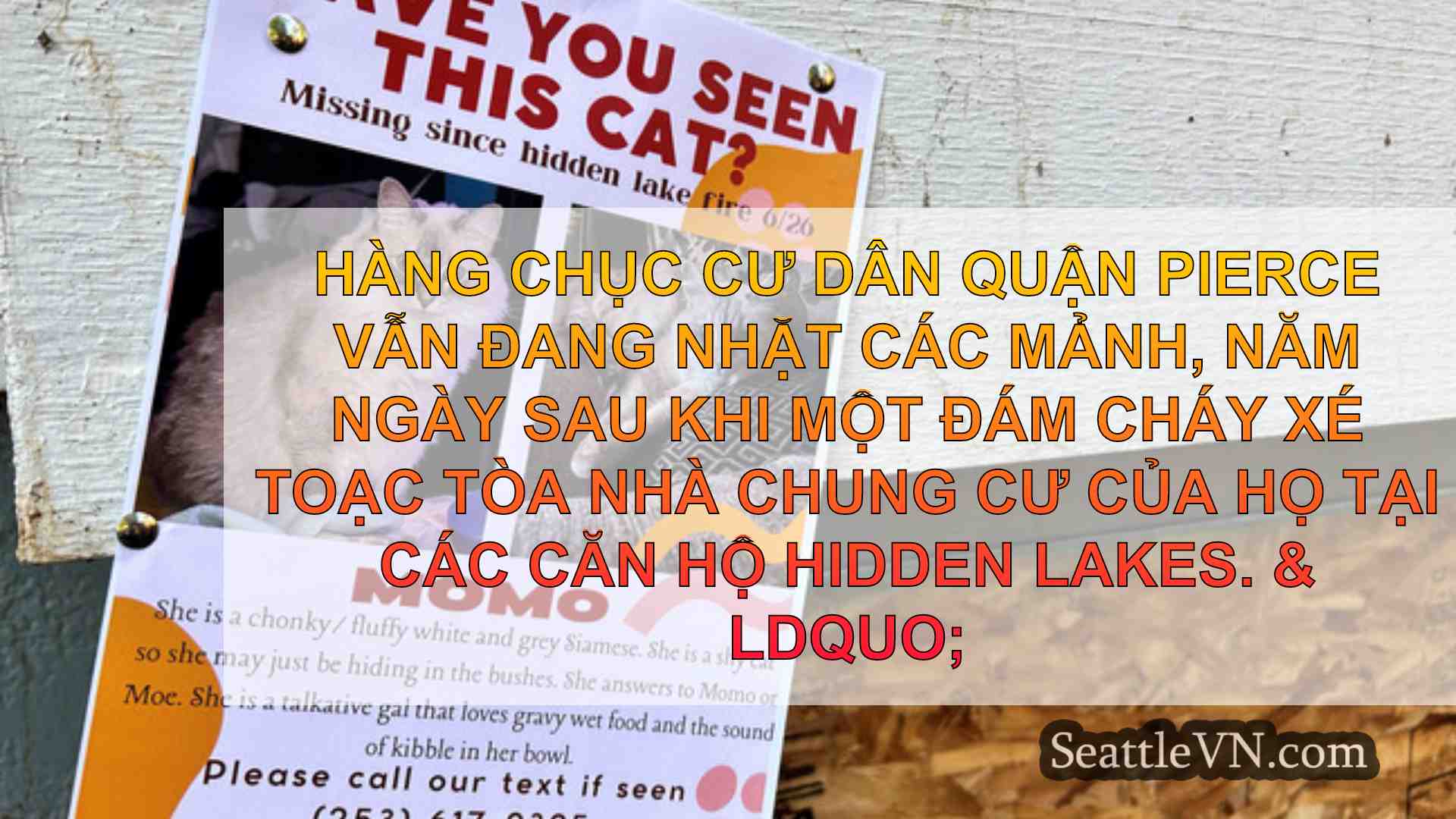 tin tức seattle SeattleVN