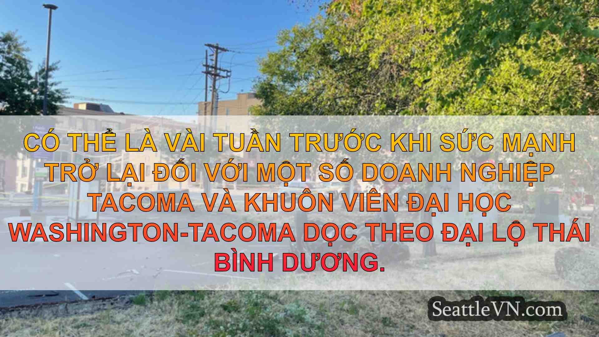 tin tức seattle SeattleVN