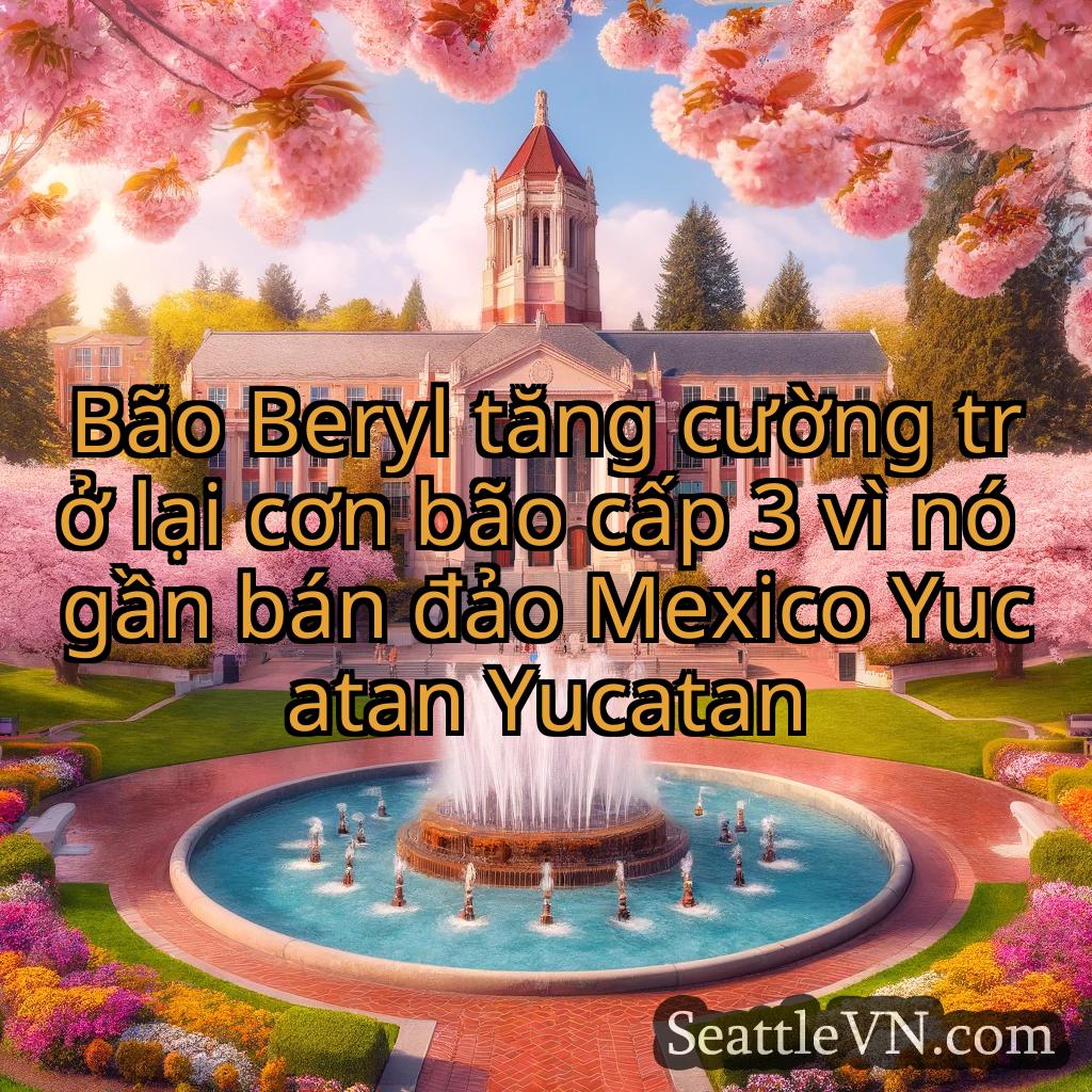 tin tức seattle Bão Beryl tăng cường trở lại cơn