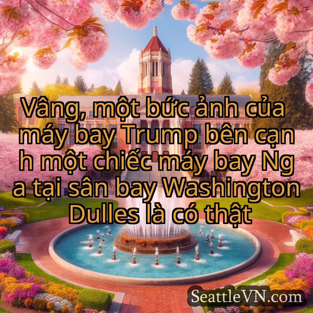 tin tức seattle Vâng, một bức ảnh của máy bay