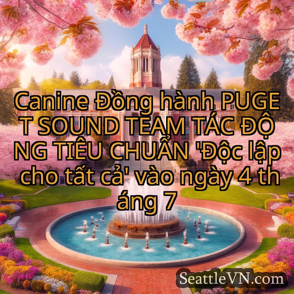 tin tức seattle Canine Đồng hành PUGET SOUND TEAM