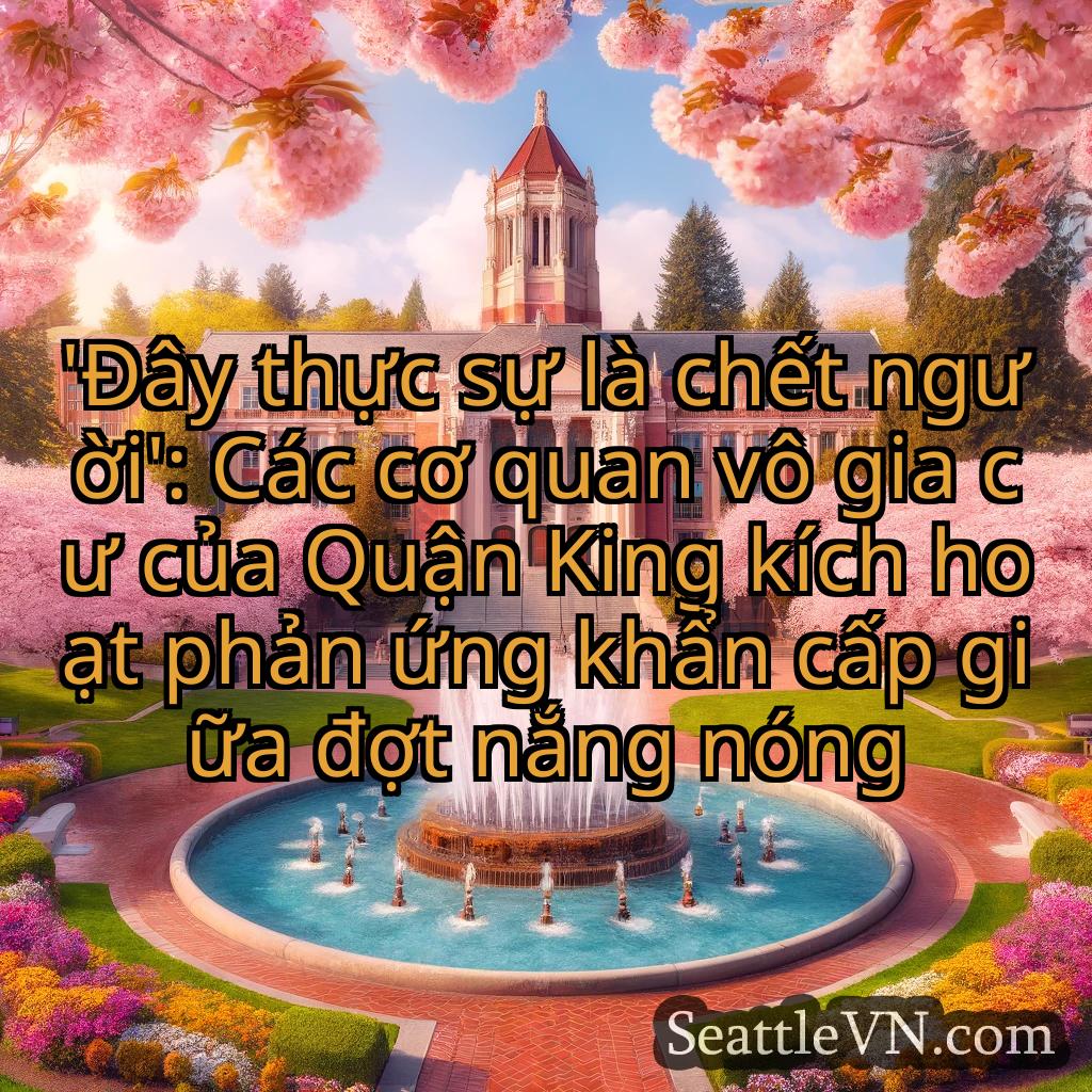 tin tức seattle 'Đây thực sự là chết người': Các