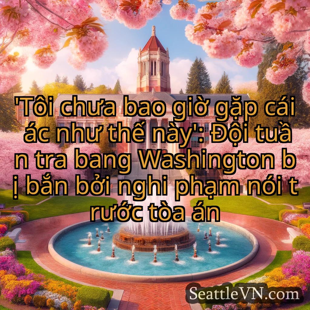 tin tức seattle 'Tôi chưa bao giờ gặp cái ác như