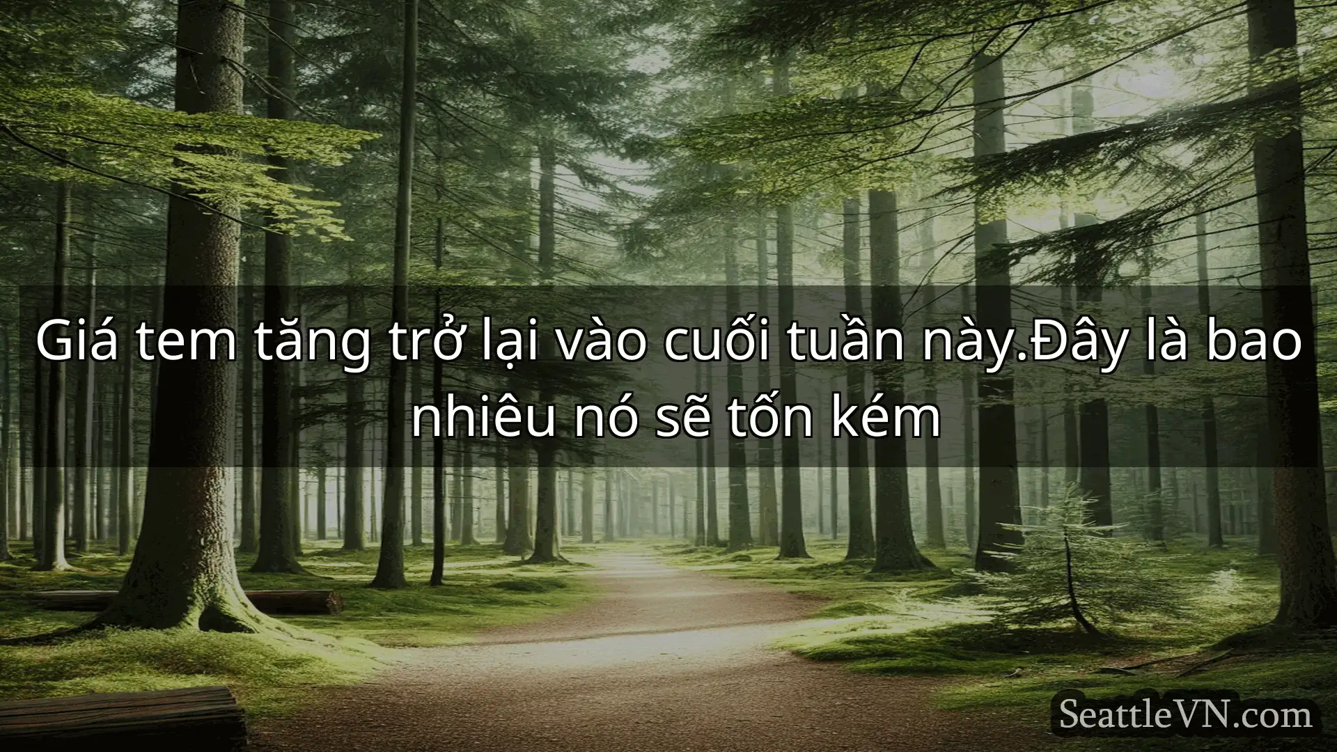 tin tức seattle Giá tem tăng trở lại vào cuối tuần