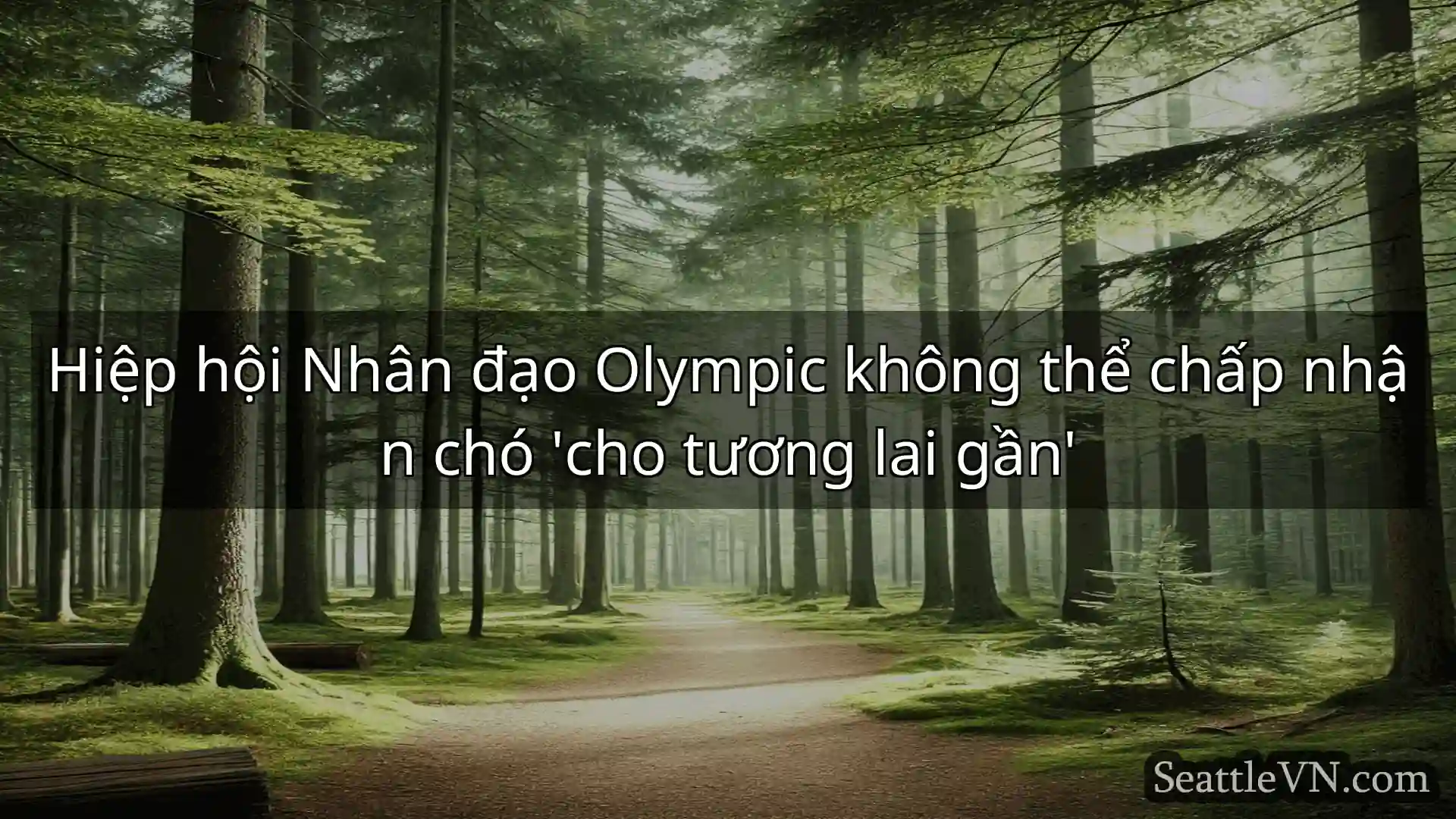 tin tức seattle Hiệp hội Nhân đạo Olympic không