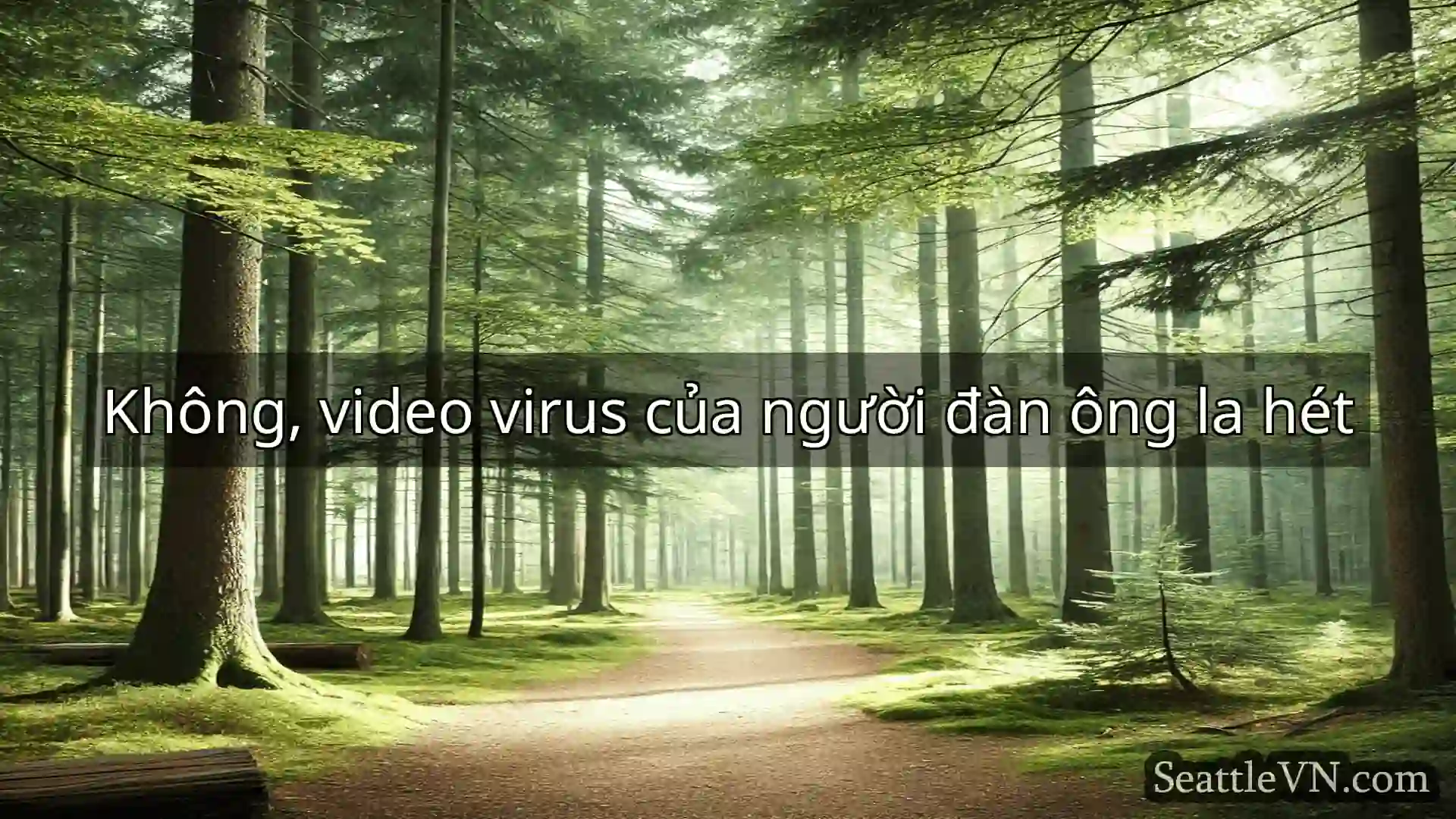 tin tức seattle Không, video virus của người đàn