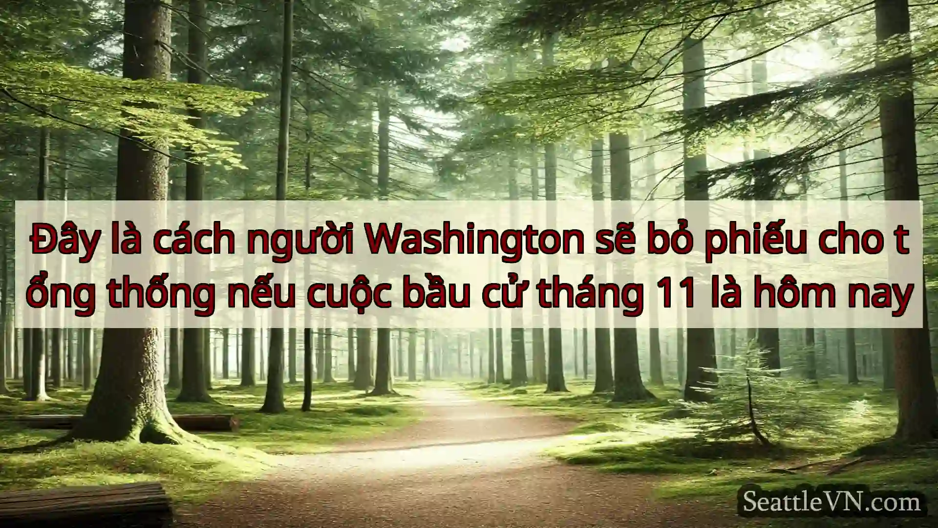 tin tức seattle Đây là cách người Washington sẽ bỏ