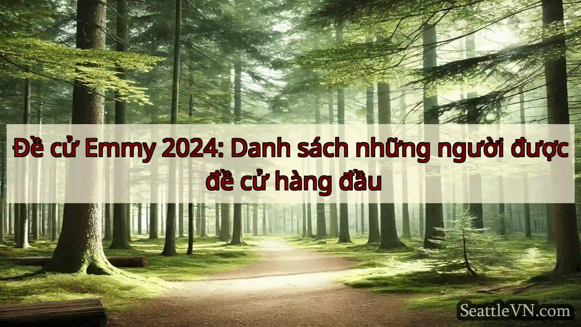 tin tức seattle Đề cử Emmy 2024: Danh sách những