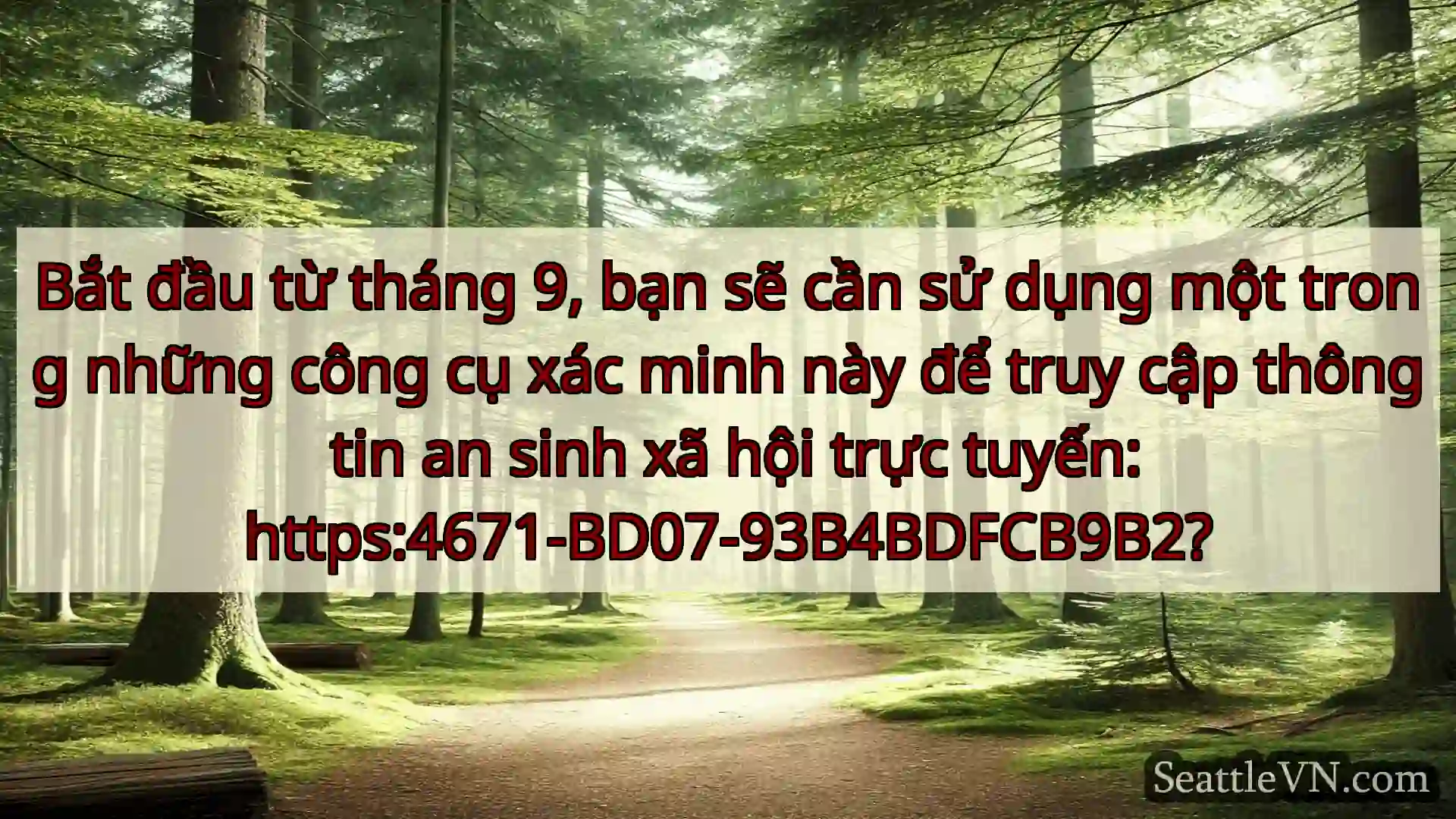 tin tức seattle Bắt đầu từ tháng 9, bạn sẽ cần sử