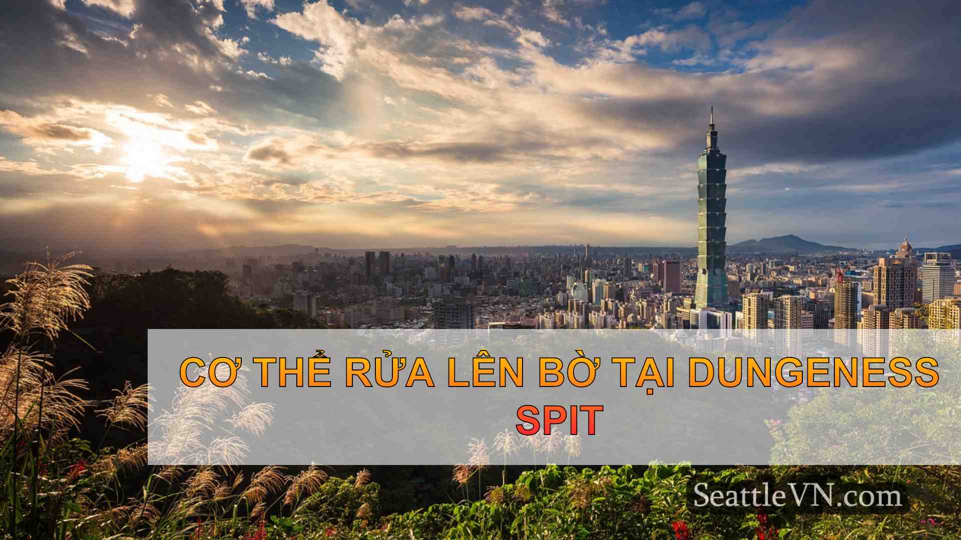 tin tức seattle SeattleVN