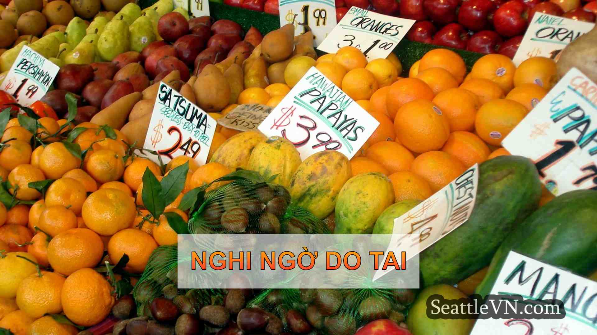 tin tức seattle SeattleVN