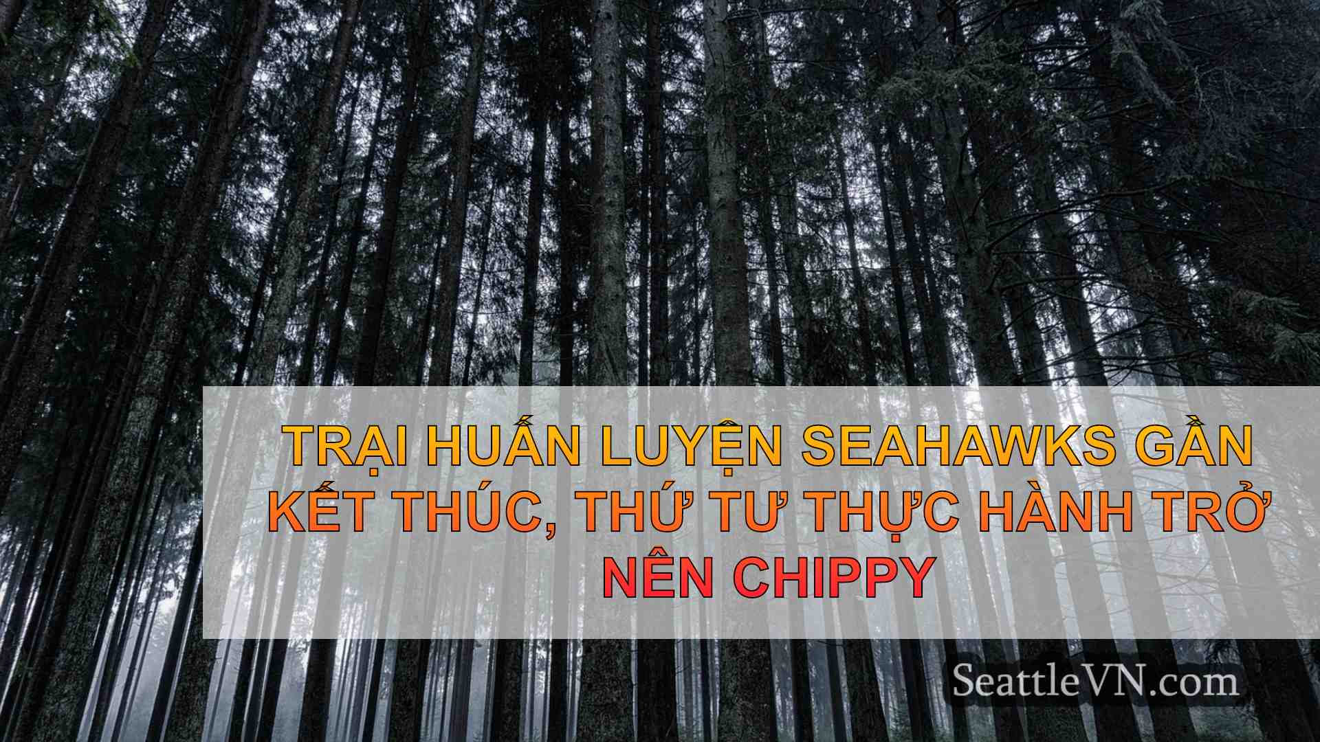 tin tức seattle SeattleVN