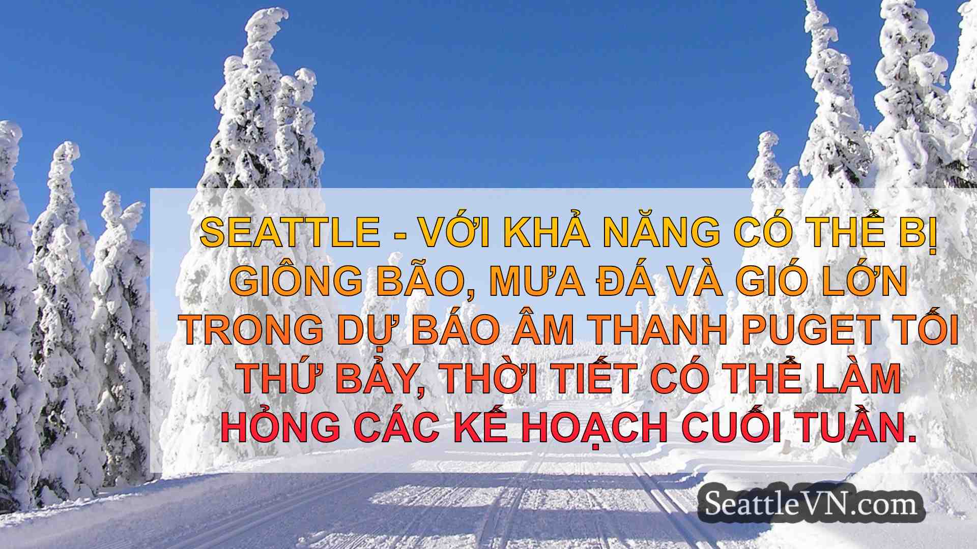 tin tức seattle SeattleVN