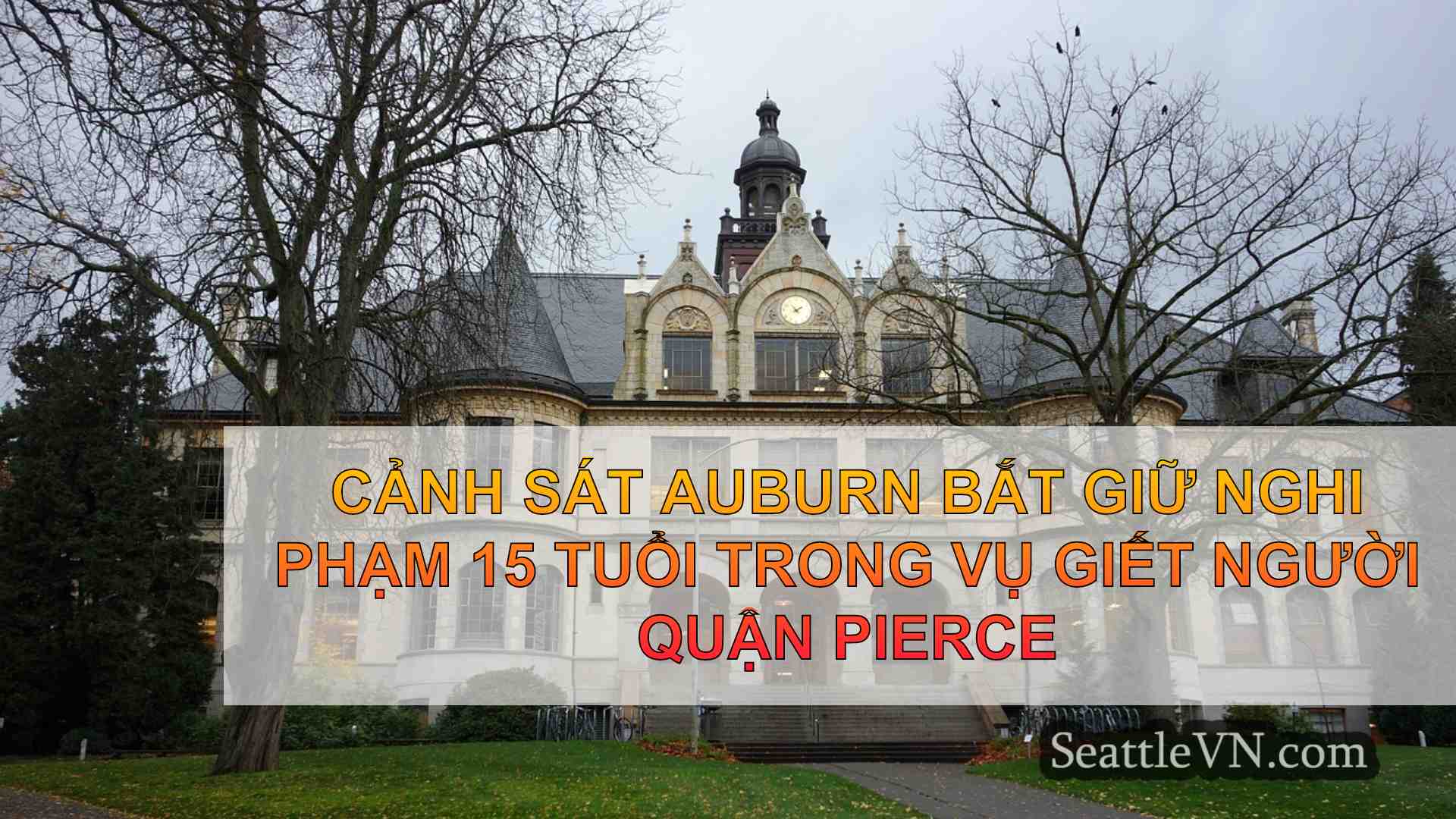 tin tức seattle SeattleVN