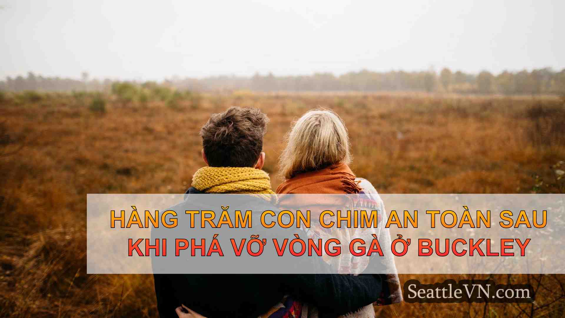 tin tức seattle SeattleVN
