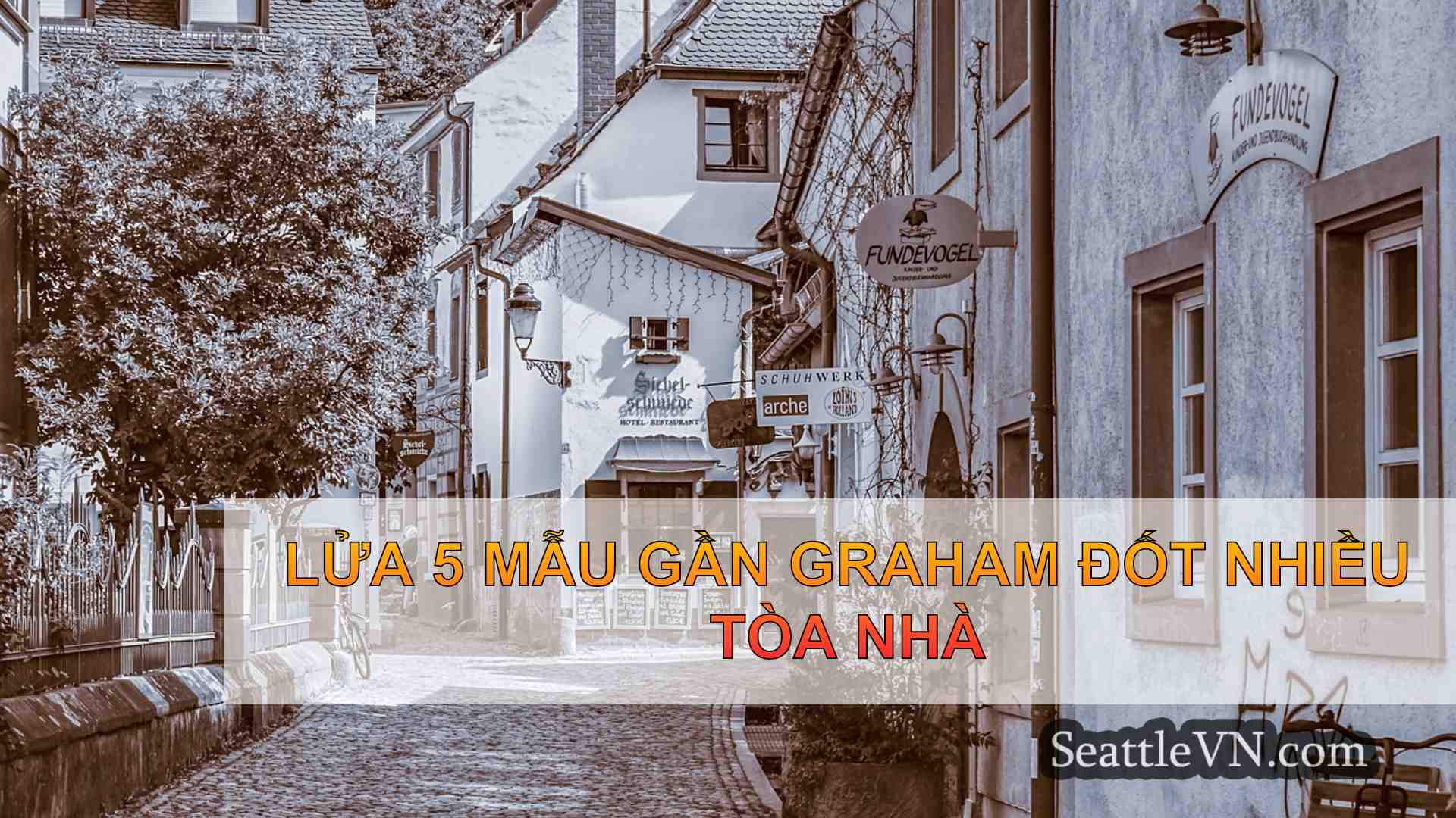 tin tức seattle SeattleVN