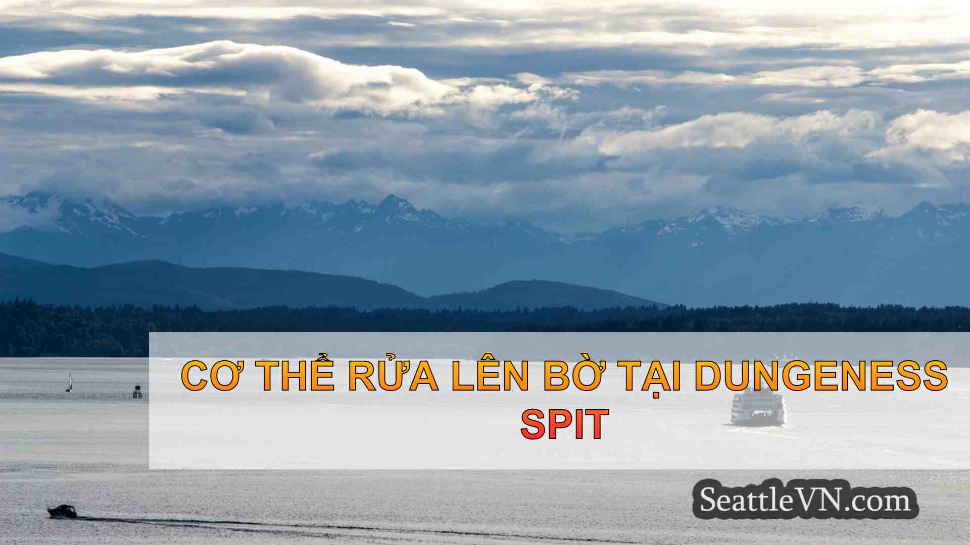tin tức seattle SeattleVN