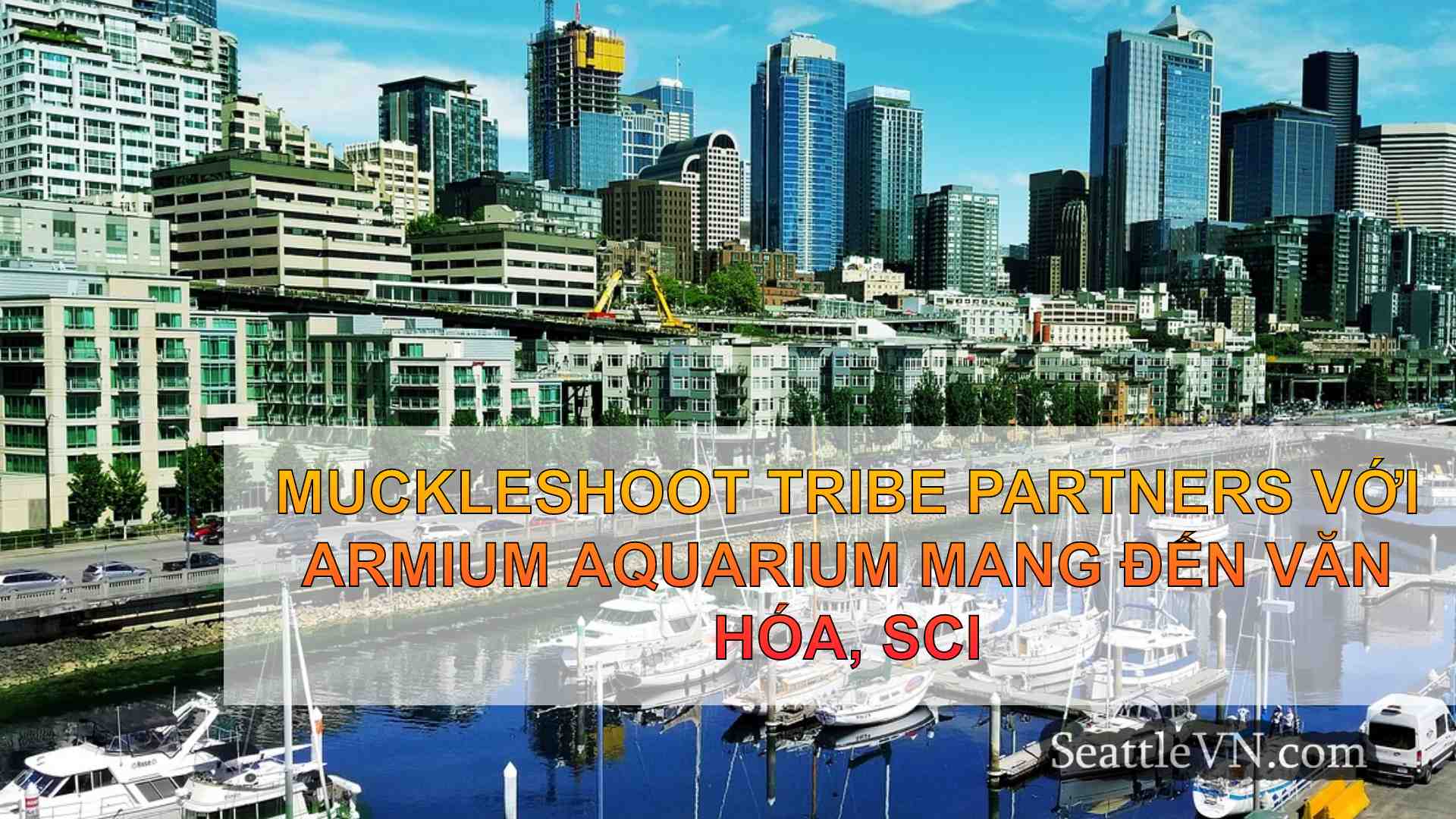 tin tức seattle SeattleVN