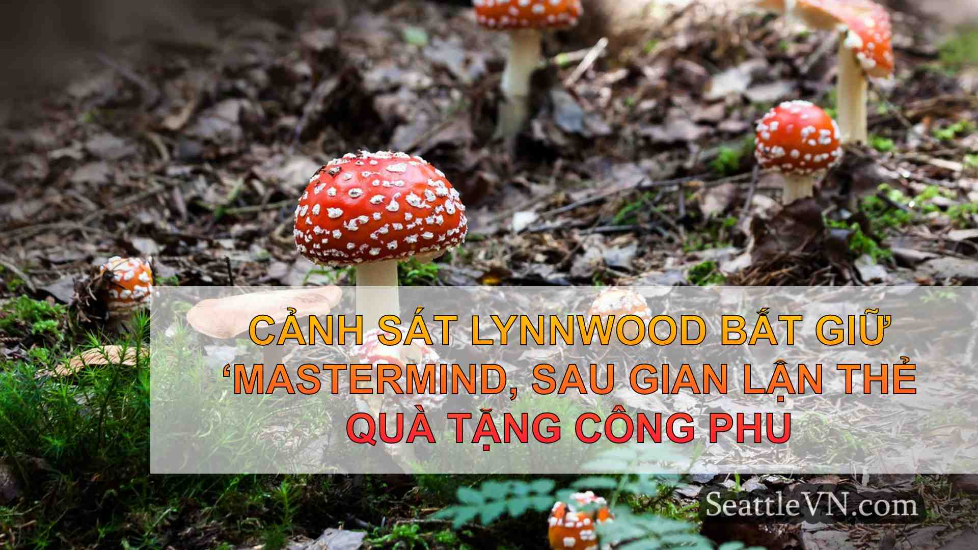 tin tức seattle SeattleVN