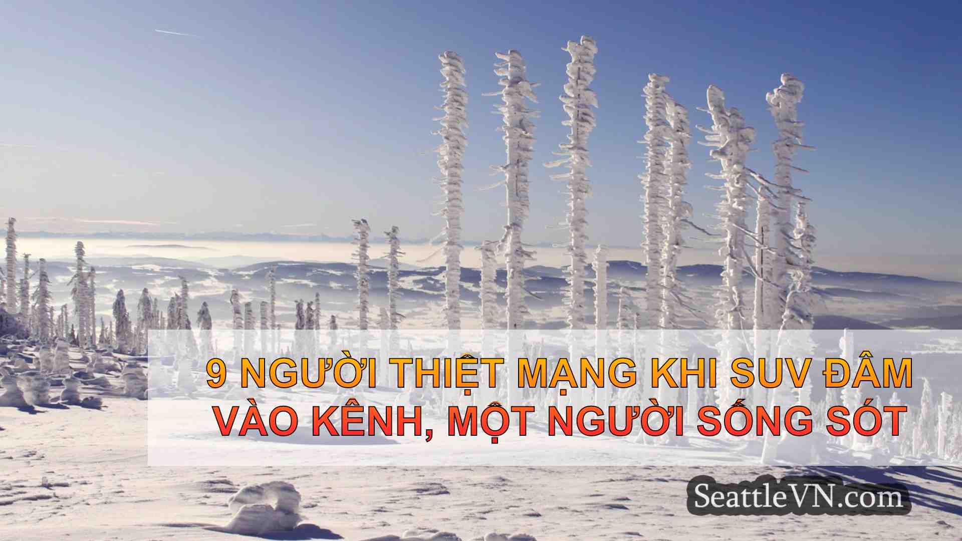 tin tức seattle SeattleVN