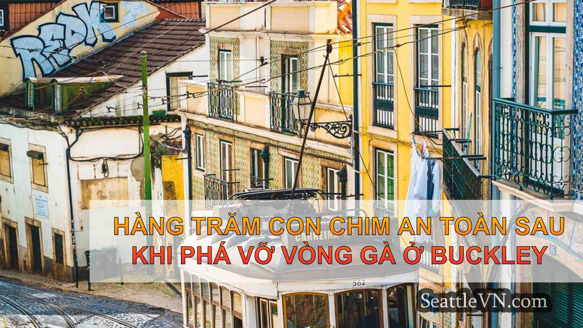 tin tức seattle SeattleVN
