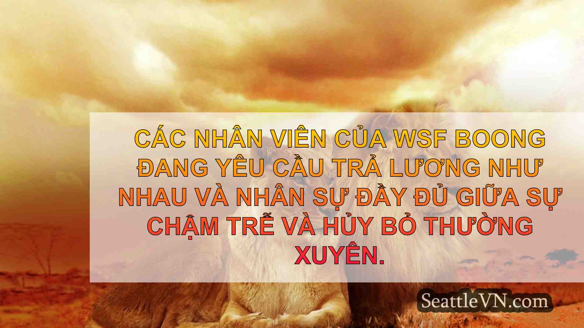 tin tức seattle SeattleVN