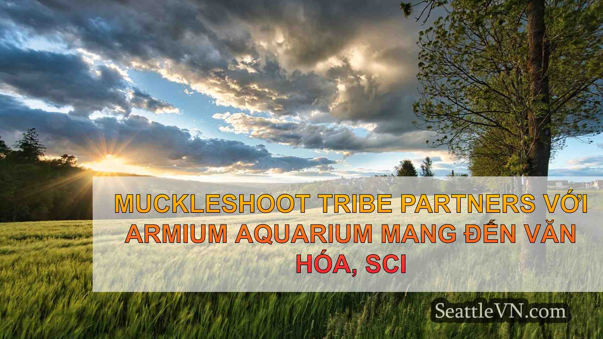 tin tức seattle SeattleVN