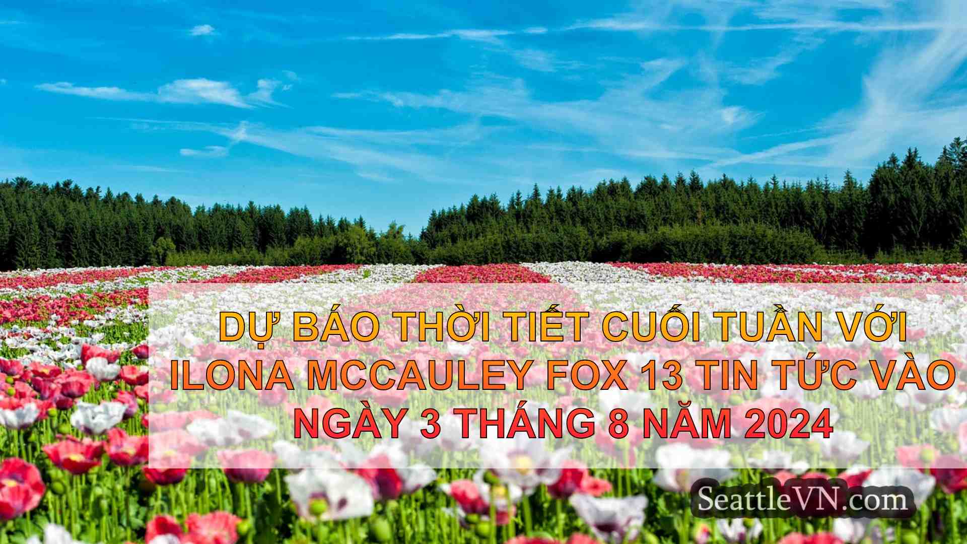tin tức seattle SeattleVN