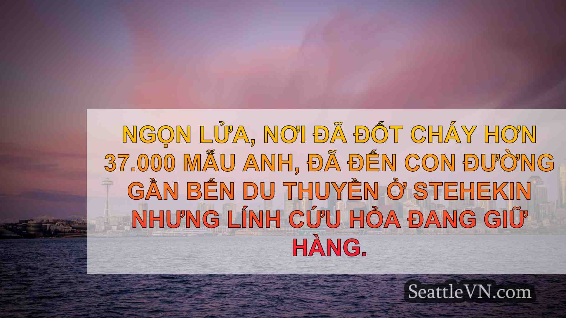tin tức seattle SeattleVN