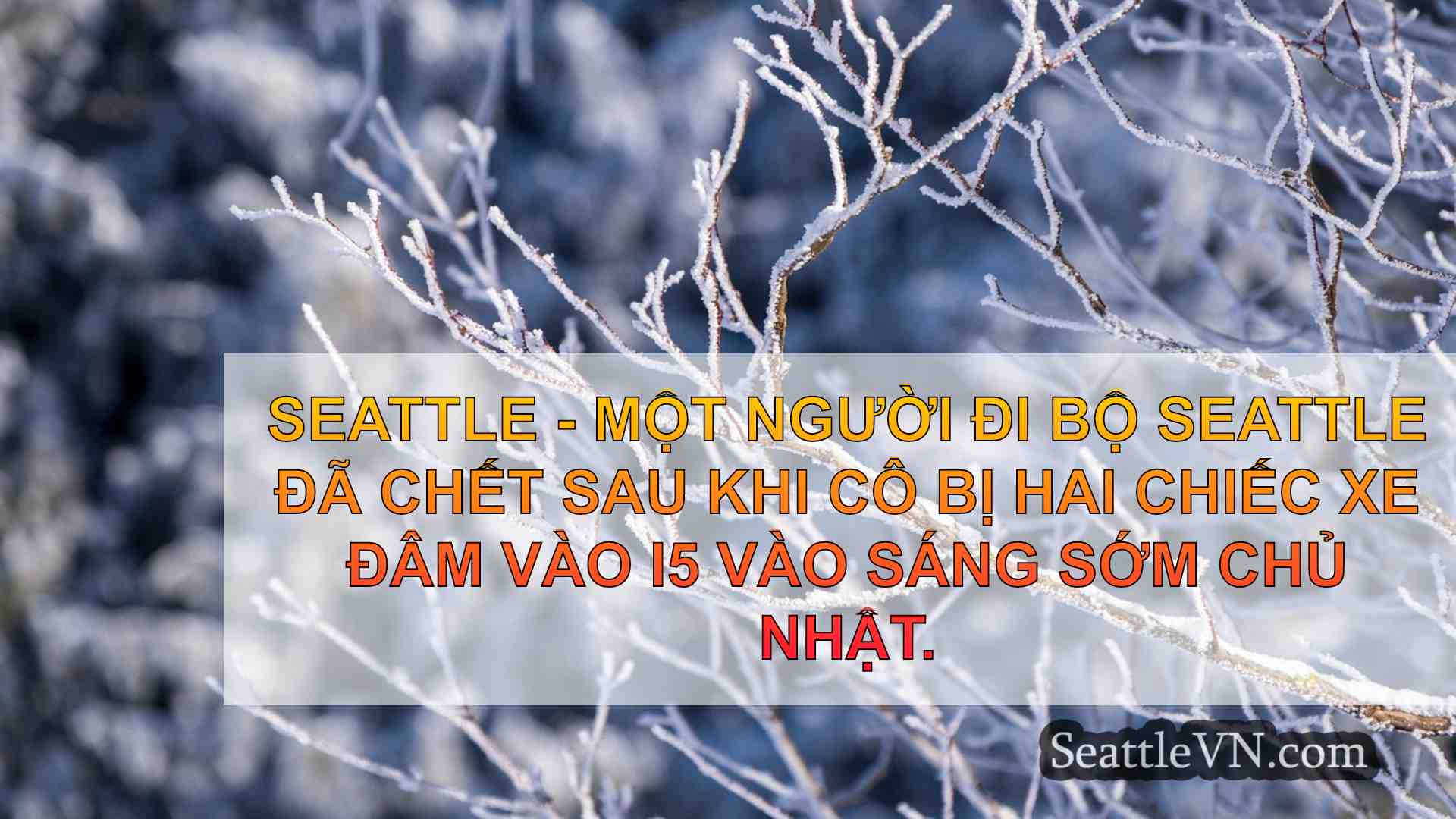 tin tức seattle SeattleVN