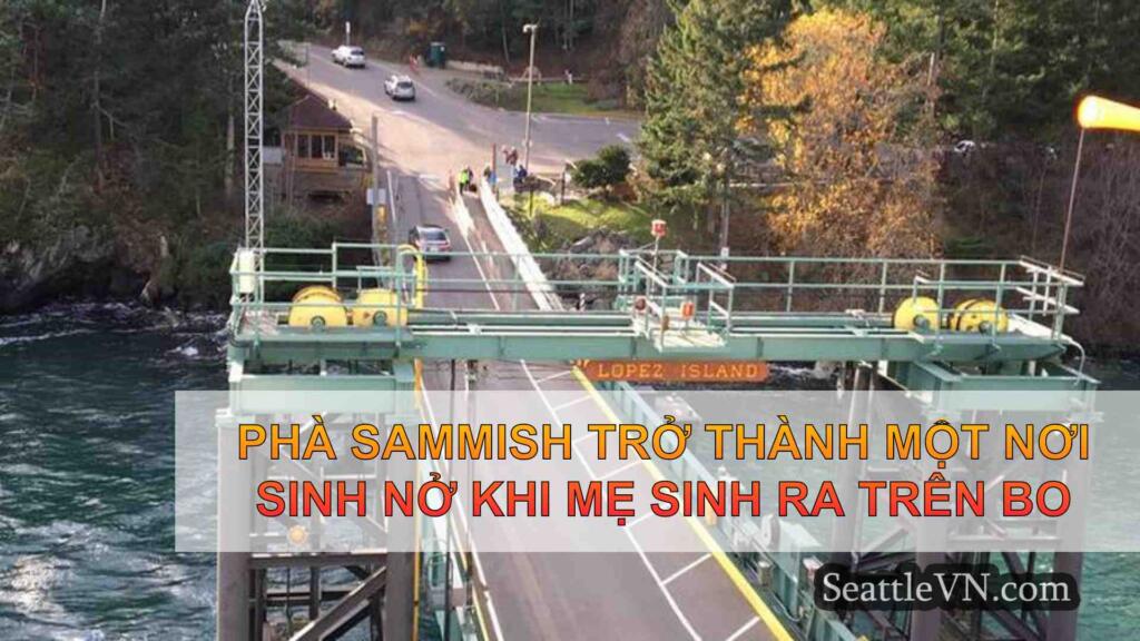 Phà sammish trở thành một nơi sinh nở