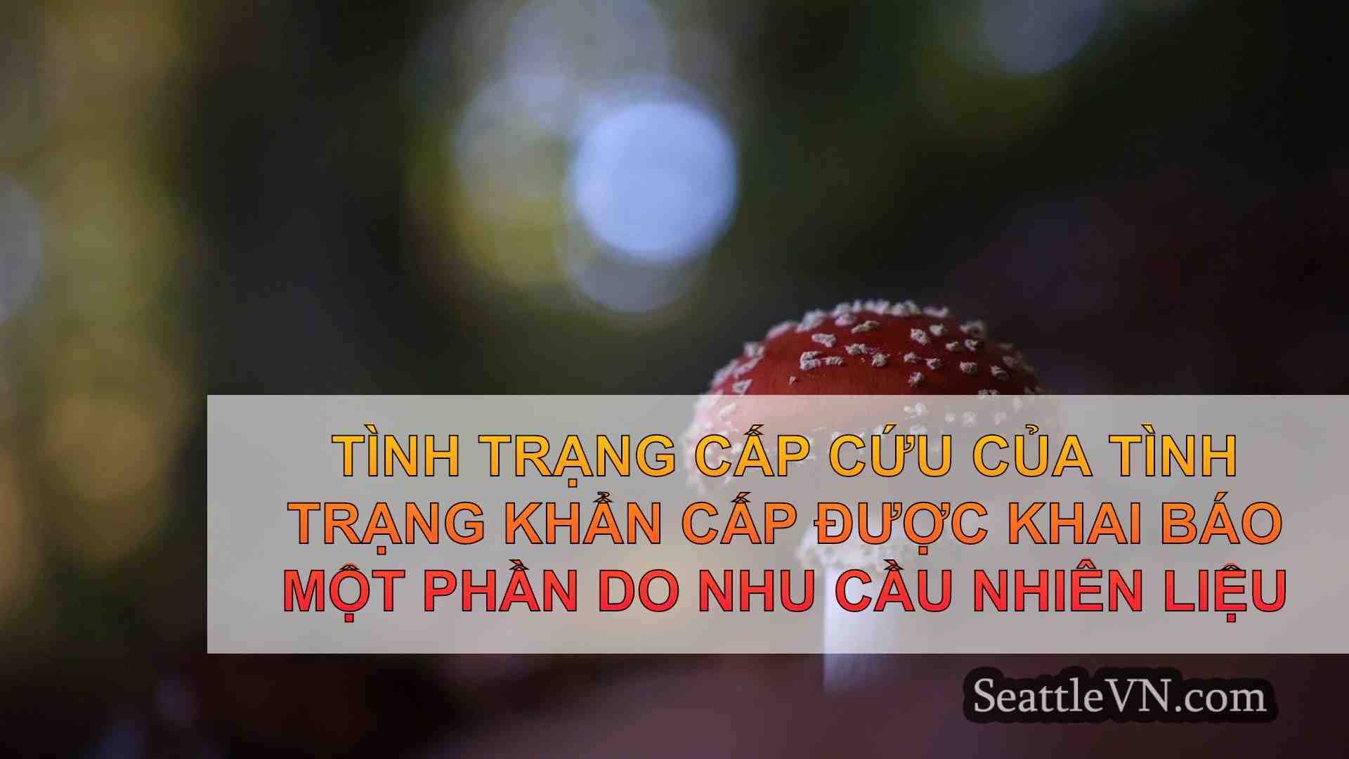 tin tức seattle SeattleVN