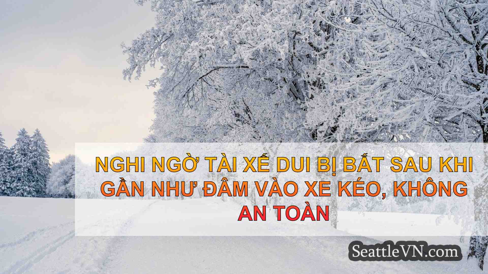 tin tức seattle SeattleVN