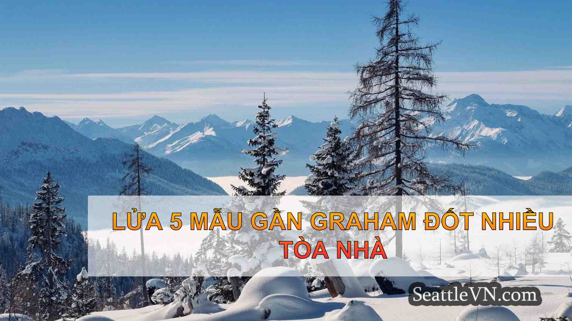 tin tức seattle SeattleVN